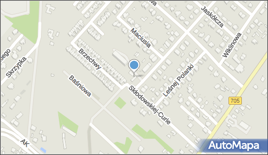 Globi, Kubusia Puchatka 1 A, Skierniewice 96-100, godziny otwarcia, numer telefonu