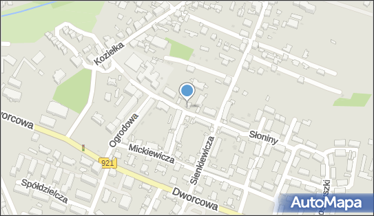 GLS - Punkt odbioru, Ul. Sloniny 7, Knurow 44-190