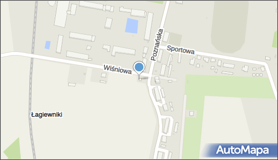 GLS - Punkt odbioru, Wiśniowa 1, Kruszwica 88-150