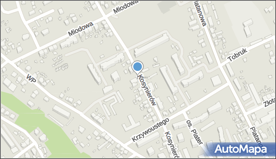 GLS - Punkt odbioru, Kosynierow 33, Gubin 66-620