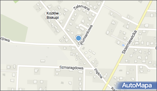 GLS - Punkt odbioru, Ul. Piekna 12A, Kozlow Biskupi 96-513