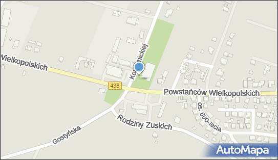 GLS - Punkt odbioru, Konopnickiej 19, Borek Wielkopolski 63-810