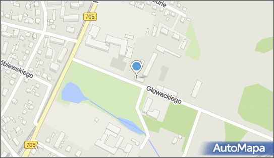 GLS - Punkt odbioru, UL. GLOWACKIEGO 3, Sochaczew 96-500