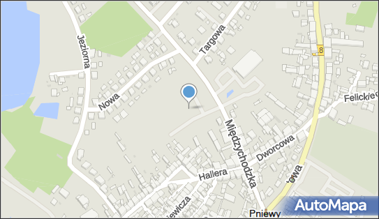 GLS - Punkt odbioru, Miedzychodzka 2b, Pniewy 62-045