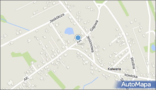 GLS - Punkt odbioru, UL. KRZYZKOWICKA 137, Pszow 44-370