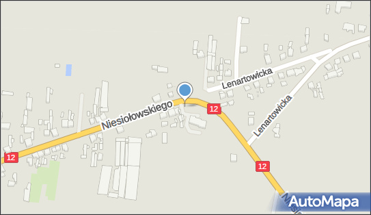 GLS - Punkt odbioru, NIESIOLOWSKIEGO 50, Pleszew 63-300