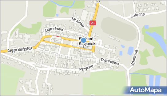 GLS - Punkt odbioru, GLOWNA 8, Kamien Krajenski 89-430