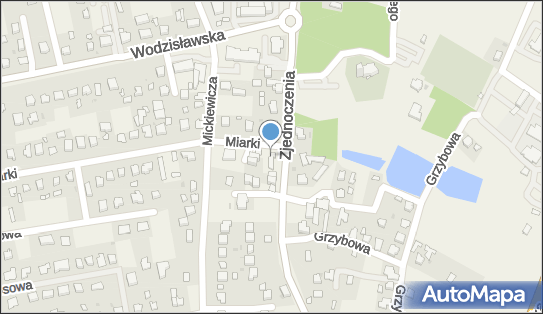 GLS - Punkt odbioru, Ul. Zjednoczenia 55, Pawlowice 43-250