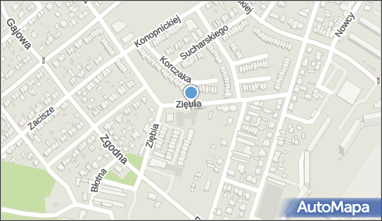 GLS - Punkt odbioru, Ul. Ziebia 3B, Wloclawek 87-800