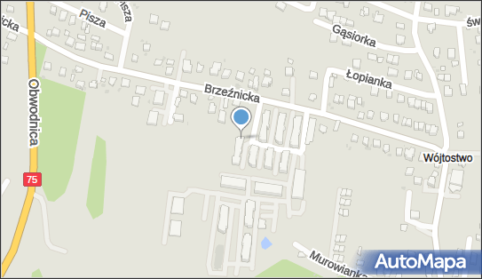 GLS - Punkt odbioru, BRZEZNICKA 55D, Bochnia 32-700