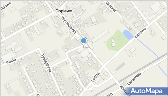 GLS - Punkt odbioru, UL. WYZWOLENIA 16, Dopiewo 62-070