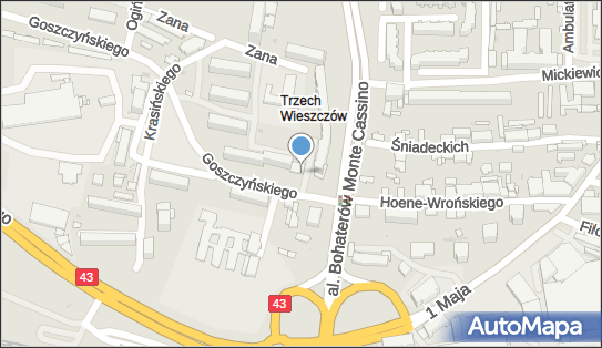 GLS - Punkt odbioru, Goszczynskiego 2, Czestochowa 42-217