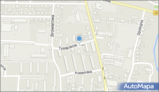 GLS - Punkt odbioru, TYSIACLECIA 3, Znin 88-400