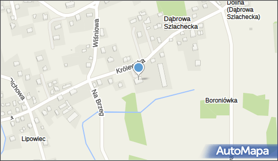 GLS - Punkt odbioru, Krolewska 30, Dabrowa Szlachecka 32-070