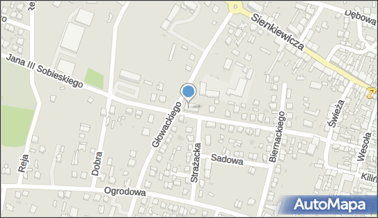 GLS - Punkt odbioru, Ul. Sobieskiego 26A, Włoszczowa 29-100