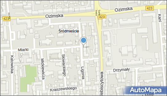 GLS - Punkt odbioru, Ul. Ligonia 9 Lok. 2, Opole 45-362