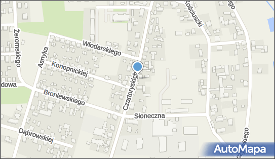 GLS - Punkt odbioru, CZARTORYSKICH 37, Goluchow 63-322