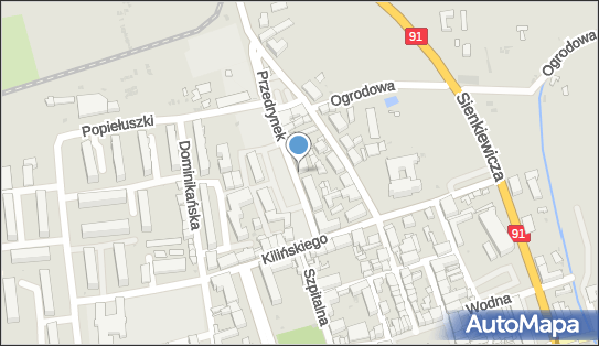 GLS - Punkt odbioru, Ul. Przedrynek 8, Leczyca 99-100