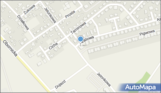 GLS - Punkt odbioru, Azaliowa 2, Złotniki 62-002