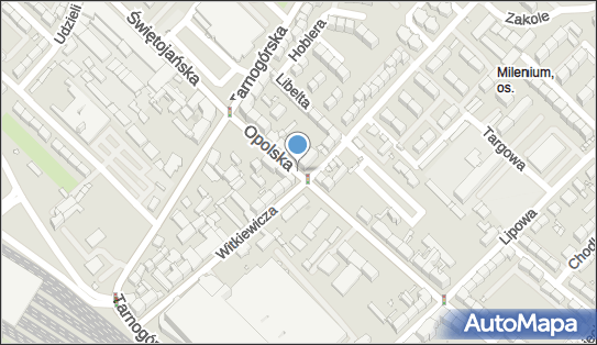 GLS - Punkt odbioru, Ul. Witkiewicza 19/2 I 3, Gliwice 44-102