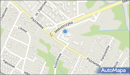 GLS - Punkt odbioru, MATUSZCZYKA 2, Wodzislaw Slaski 44-300