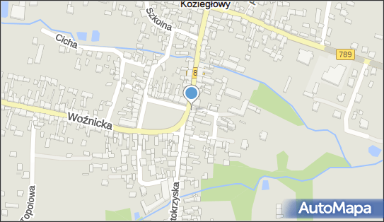 GLS - Punkt odbioru, PLAC MONIUSZKI 1, Kozieglowy 42-350