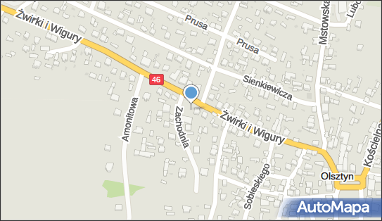 GLS - Punkt odbioru, ZWIRKI I WIGURY 29, Olsztyn k. Czestochowy 42-256