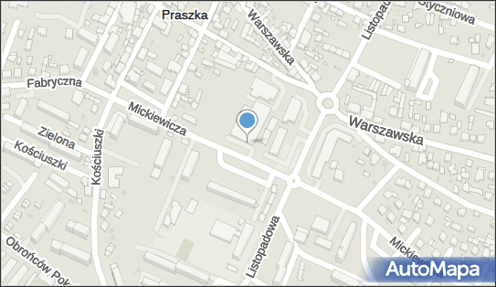 GLS - Punkt odbioru, Mickiewicza 5, Praszka 46-320