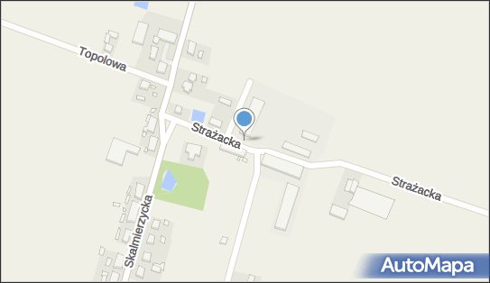 GLS - Punkt odbioru, BOCZKOW, UL STRAZACKA 5, Nowe Skalmierzyce 63-460