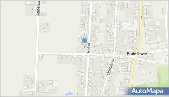 GLS - Punkt odbioru, UL. POLNA 19, Bialosliwie 89-340