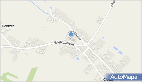 GLS - Punkt odbioru, DOBRZEC , WIELKOPOLSKA 14, Sosnie 63-435