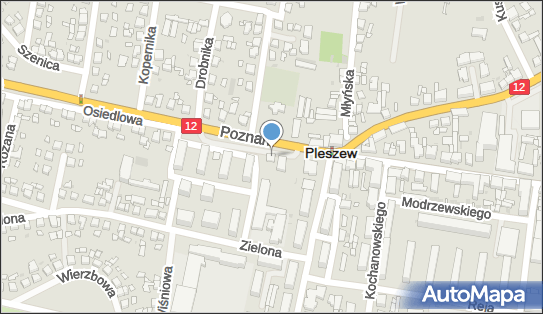 GLS - Punkt odbioru, POZNANSKA 67A, Pleszew 63-300