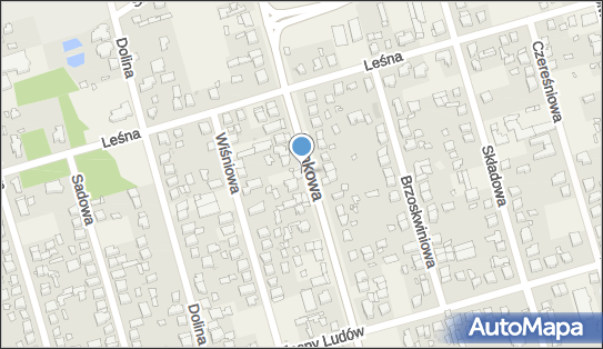 GLS - Punkt odbioru, Rynkowa 46, Przeźmierowo 62-081