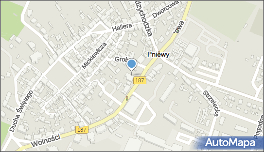 GLS - Punkt odbioru, Wolności 29, Pniewy 62-045