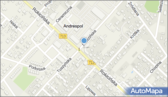 GLS - Punkt odbioru, Rokicińska 123, Andrespol 95-020