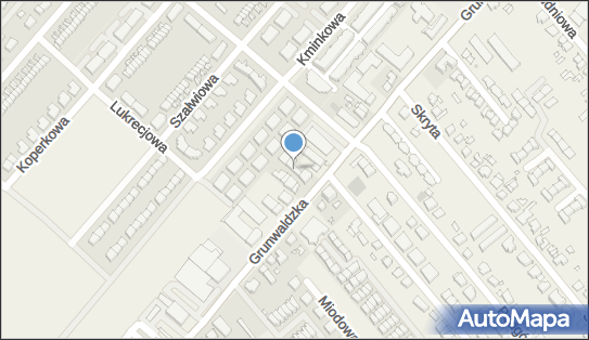 GLS - Punkt odbioru, GRUNWALDZKA 489, Plewiska 62-064