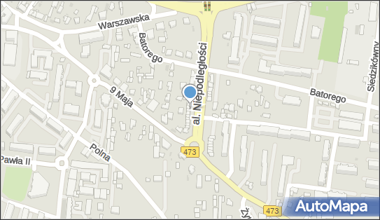 GLS - Punkt odbioru, Al. Niepodleglosci 13, Lask 98-100