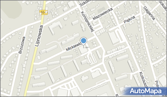 GLS - Punkt odbioru, ADAMA MICKIEWICZA 10, Golub Dobrzyn 87-400