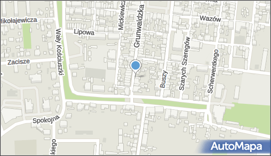 GLS - Punkt odbioru, Ul. Grunwaldzka 35 ., Rawicz 63-900