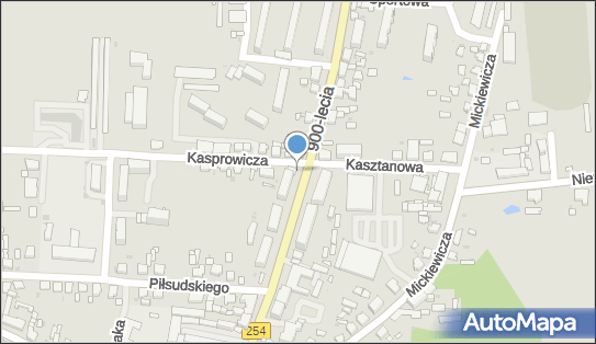 GLS - Punkt odbioru, Kasprowicza 2, Mogilno 88-300