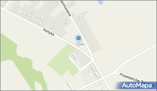 GLS - Punkt odbioru, Ul. Asnyka 75, Lubomia 44-360