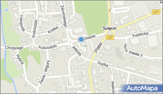 GLS - Punkt odbioru, WINCENTEGO WITOSA 1, Sulecin 69-200