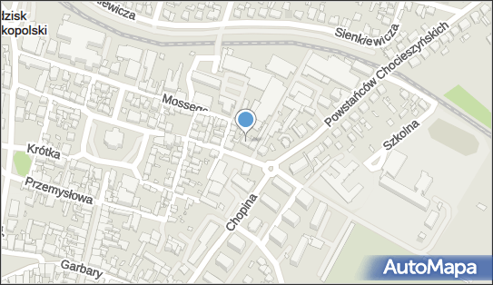 GLS - Punkt odbioru, Powstańców Chocieszyńskich 15 62-065