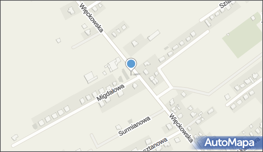 GLS - Punkt odbioru, Migdałowa 2, Dopiewo 62-070