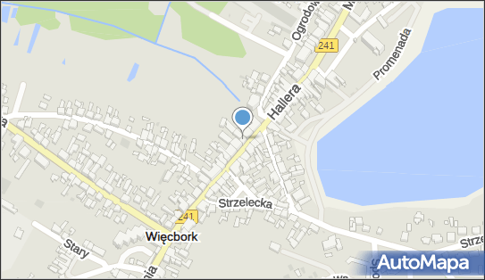 GLS - Punkt odbioru, HALLERA 20, Wiecbork 89-410