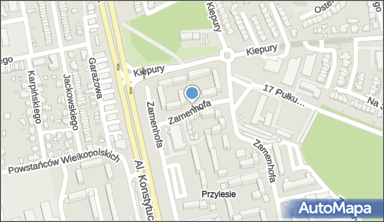 GLS - Punkt odbioru, Zamenhofa 108, Leszno 64-100