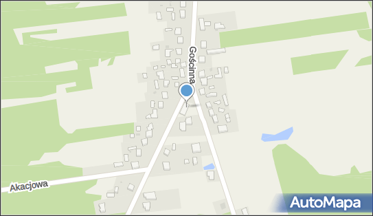 GLS - Punkt odbioru, GOSCINNA 46, Konopiska 42-274