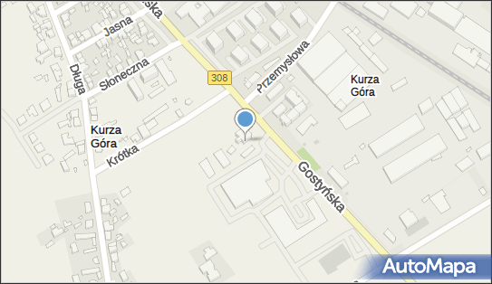 GLS - Punkt odbioru, GOSTYNSKA 96, Koscian 64-000