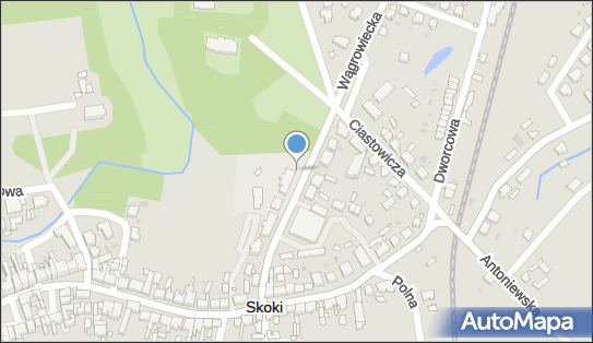 GLS - Punkt odbioru, UL. WĄGROWIECKA 3C, Skoki 62-085