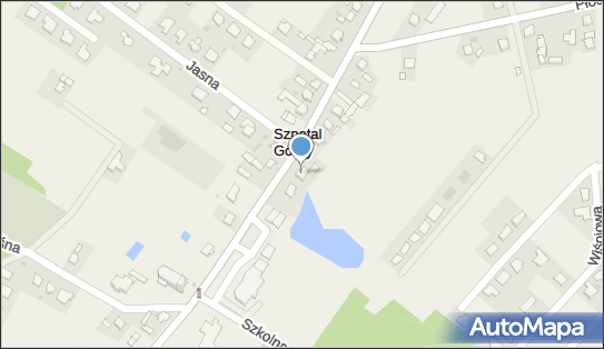 GLS - Punkt odbioru, WLOCLAWSKA 44, Fabianki 87-811